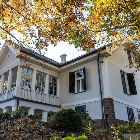 Chez Les Amis - Adults Only 鲍洛通塞派兹德