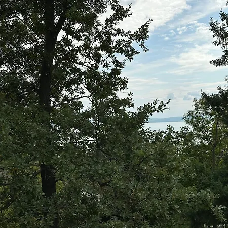 招待所 Chez Les Amis - Adults Only