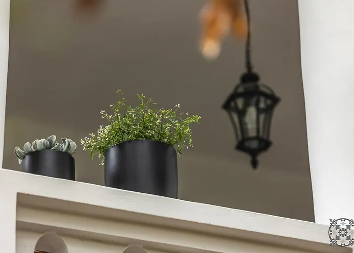 Chez Les Amis - Adults Only 鲍洛通塞派兹德