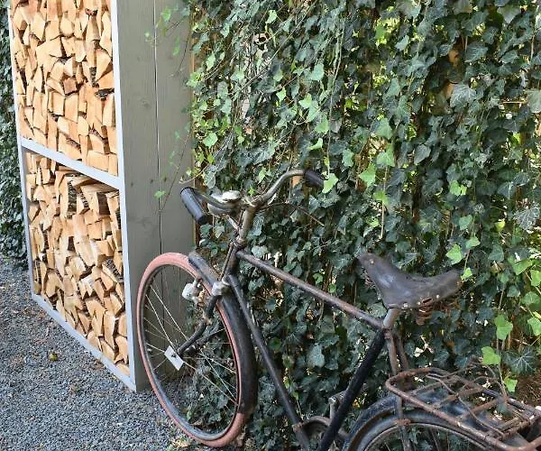 招待所 Chez Les Amis - Adults Only