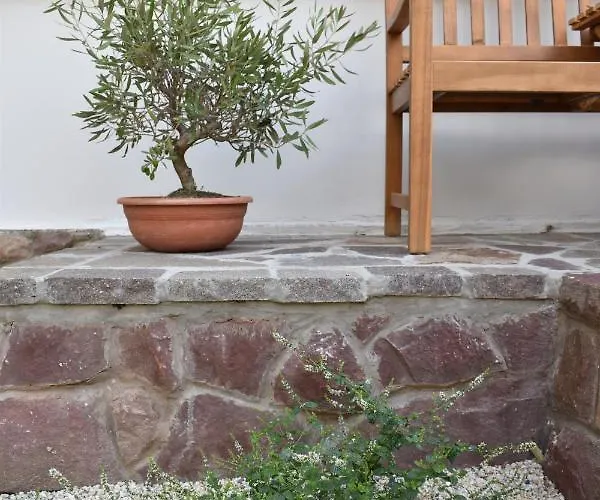 招待所 Chez Les Amis - Adults Only