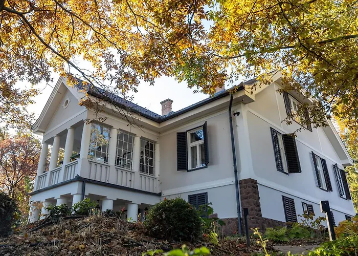 Chez Les Amis - Adults Only 鲍洛通塞派兹德