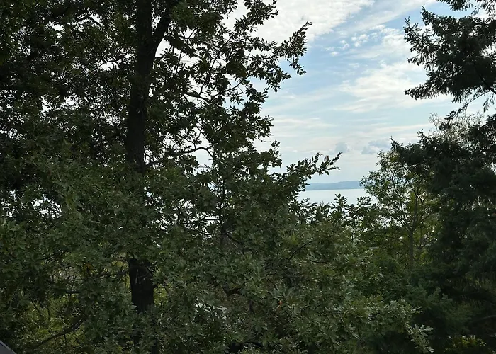 招待所 Chez Les Amis - Adults Only